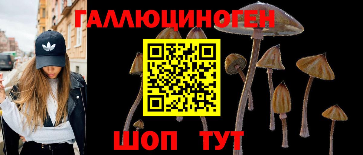 Псилоцибиновые грибы Psilocybe  Вход с VPN  где купить наркоту  Узловая 